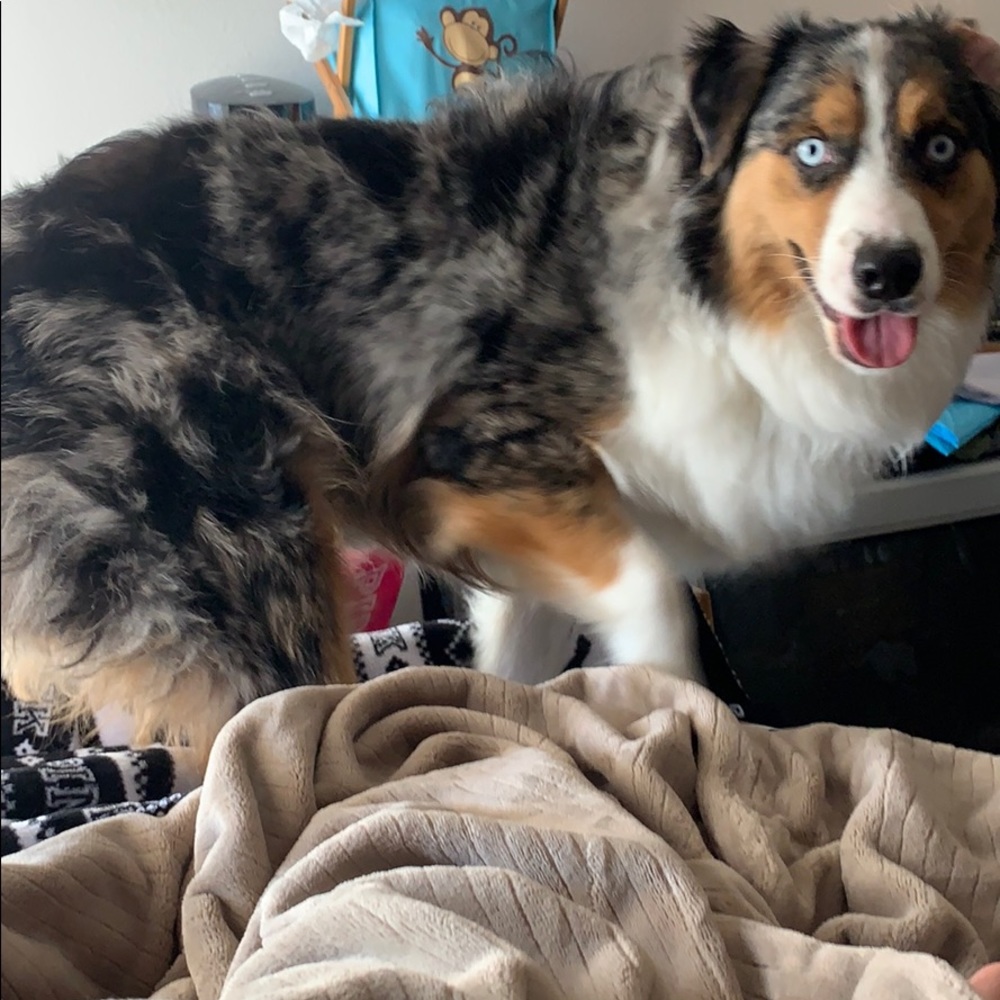 Meet your Posher, Tara